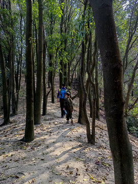 山林登山者