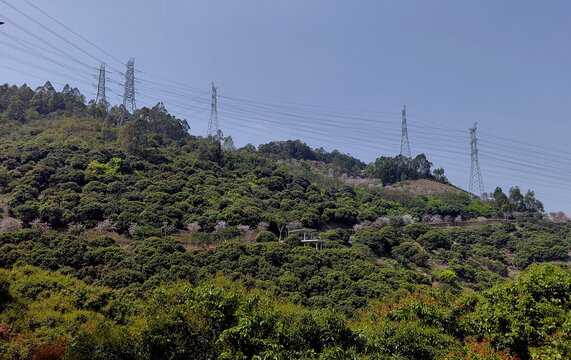 光明大雁山风光