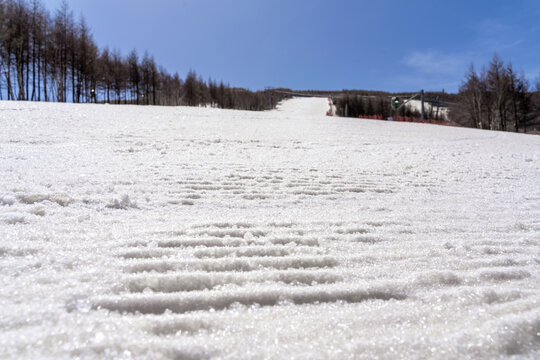 滑雪场的雪道