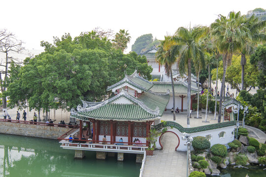 菽庄花园壬秋阁建筑群与树木