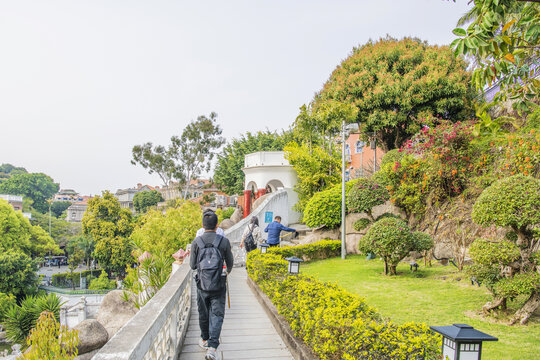 菽庄花园山上的人行路与绿树