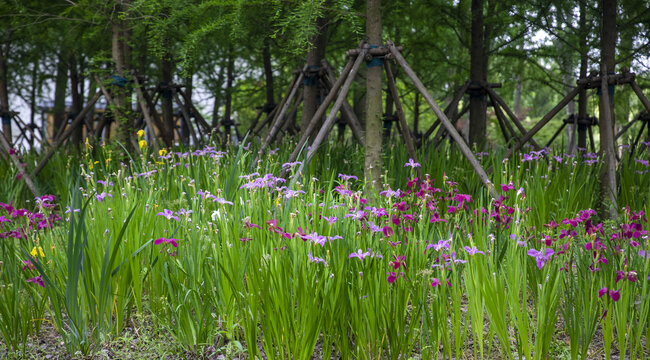 鲜花树林背景