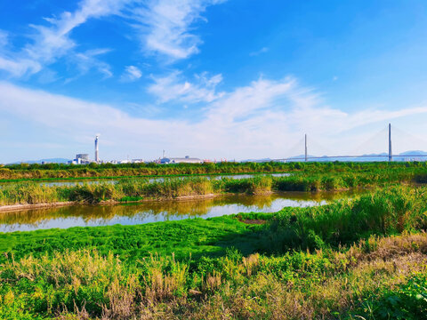 江边风景