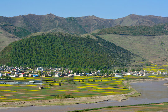 蓝天绿树新农村