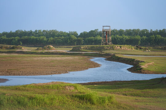 盐城大丰黄海野鹿荡风光