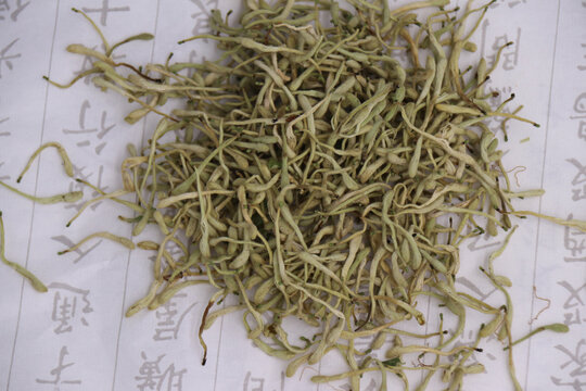 金银花茶饮花茶代用茶