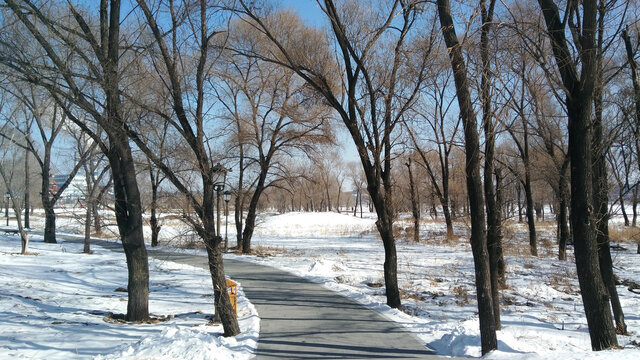 冬日雪景