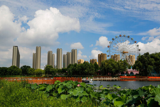 城市湿地