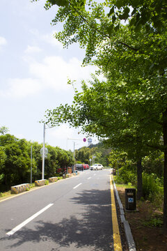 太阳山风景