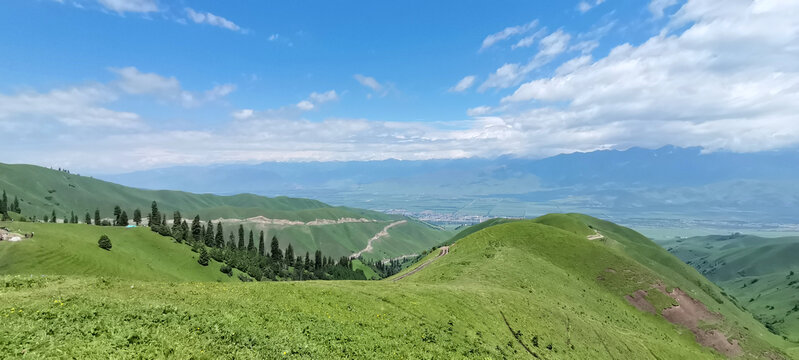 高山草原