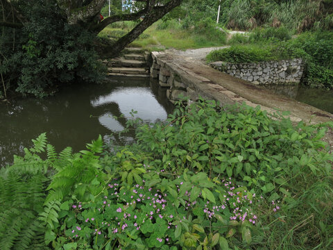 山区小桥