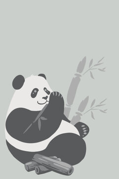 大熊猫吃竹烤竹炭可爱