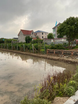 乡村小景