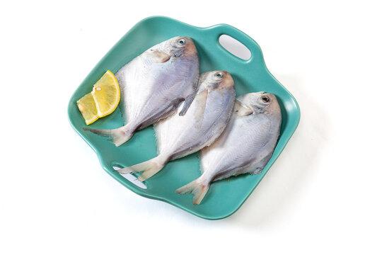 平子鱼生鲜食材
