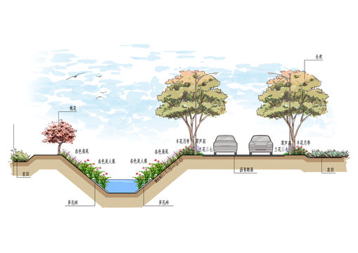 道路绿化手绘断面图