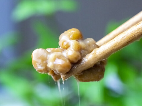 日本有机食品纳豆降血脂