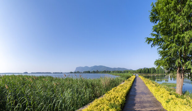 滇池草海全景图