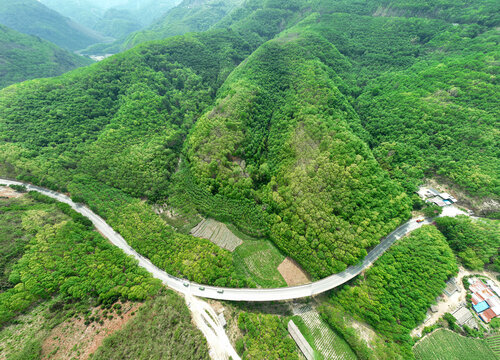 山间公路