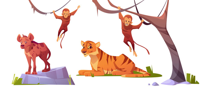 卡通野生动物老虎猴子和鬣狗插图集合