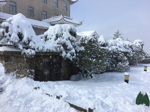 黄山雪景