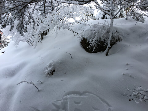 黄山雪景