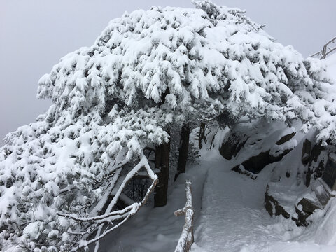 黄山雪景