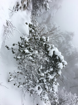 黄山雪景