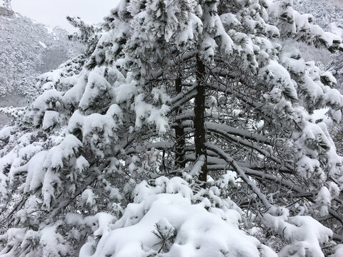 黄山雪景