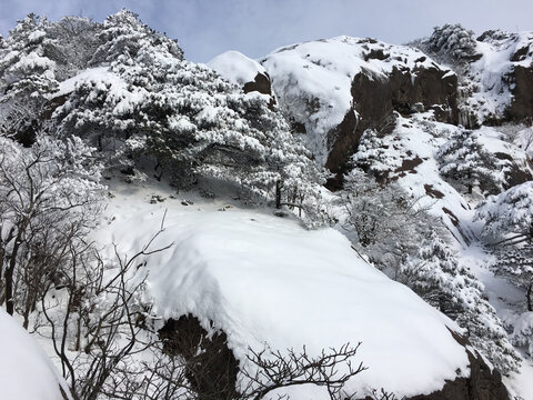 黄山雪景