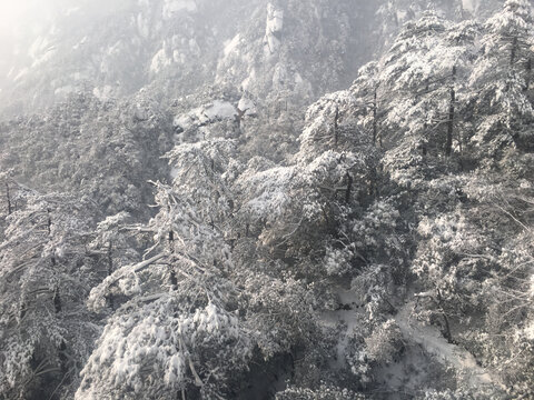 黄山雪景