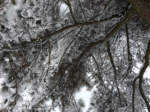 黄山雪景