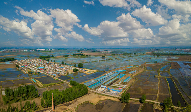 东北水稻村庄大地