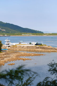 深圳盐田港风景