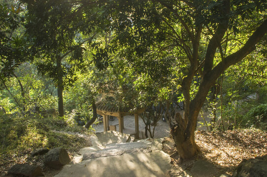 九日山山中小景