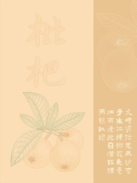 枇杷线条画