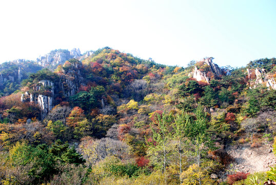 青岛崂山秋色