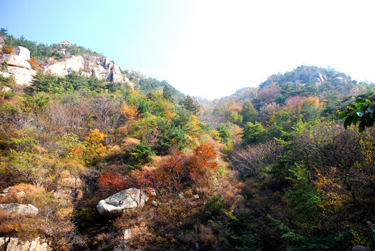 青岛崂山秋色