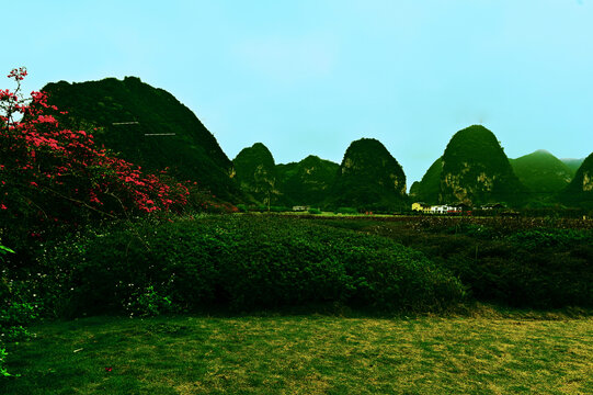 广西旧州风景