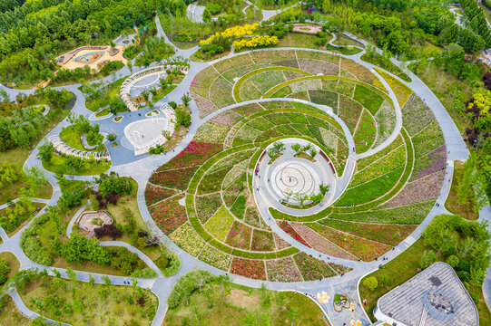 航拍郑州月季花海螺旋形植物园