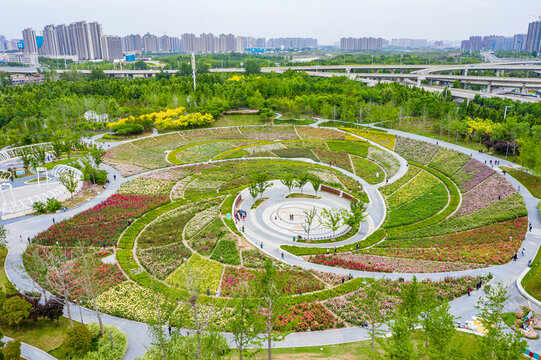 航拍郑州月季花海螺旋形植物园