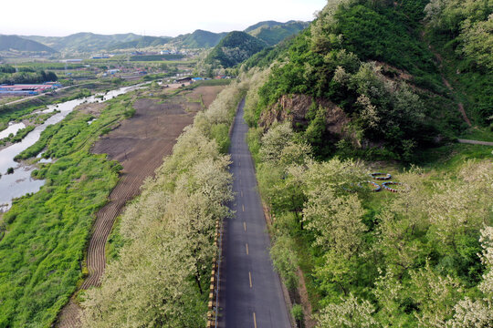 花路