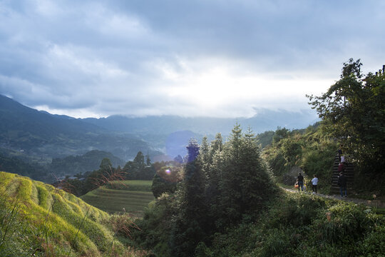 高山梯田