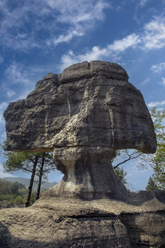 贵州蘑菇石