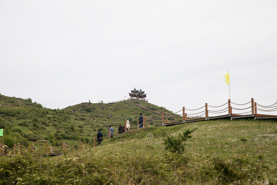 临夏太子山