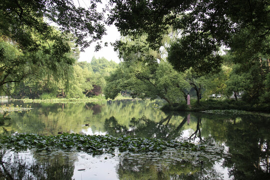 杭州西湖景区