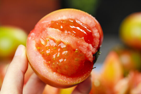 铁皮草莓柿子