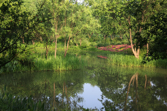 浙江杭州西溪国家湿地公园