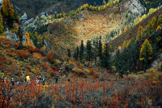 高原秋天的金黄山谷