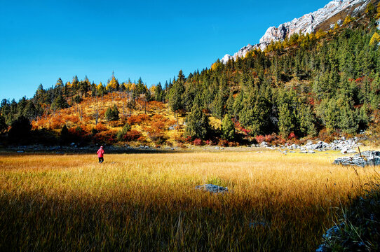 金秋高原山谷草场徒步