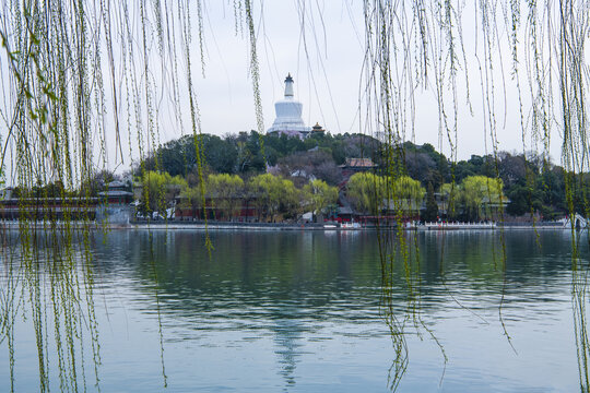 北京北海春色